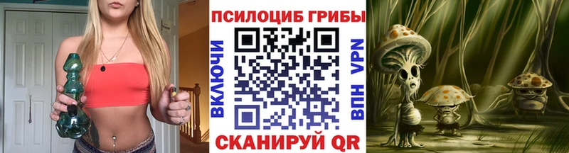 Псилоцибиновые грибы Cubensis  Рязань 